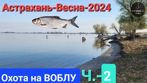 🔥Охота на ВОБЛУ. Волга-Апрель-2024 г. Астрахань!!! Часть №-2.