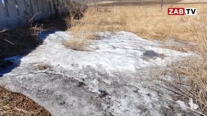 Фекальные воды стекают в земли сельхозназначения в Маккавеево