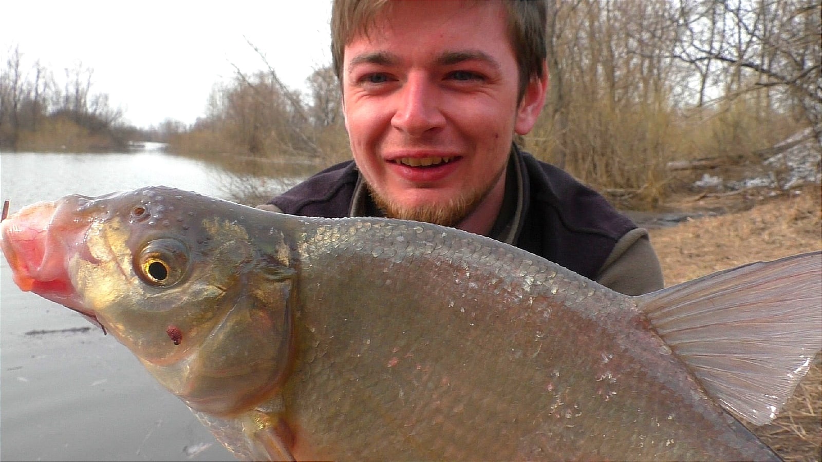 Здоровые лещи и плотва! Это открытие сезона на фидер! смотреть онлайн