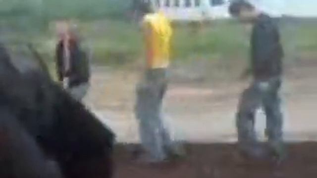 Мы сажаем ко... ммм... газон! смотреть онлайн