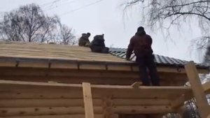 Дом из оцилиндрованного бревна - "Дача-133"