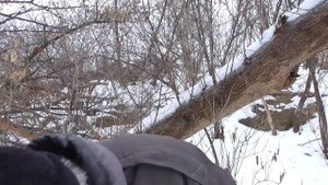 Геннадий Горин отмечает день рождения на природе, кушают торт