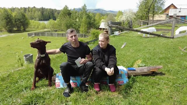 Обращение к подписчикам! Ответы на часто задаваемые вопросы.