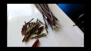 Зимняя прививка яблонь: особенности и техника проведения