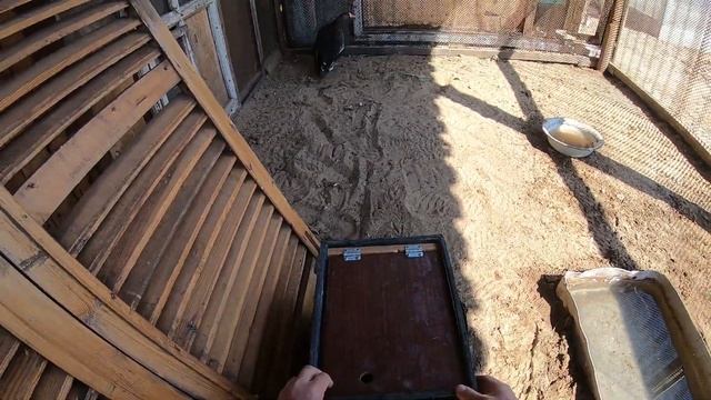 охота на гусей судьба подранка смотреть онлайн