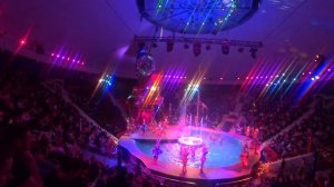 ЦИРК НА ВОДЕ В ИРКУТСКЕ