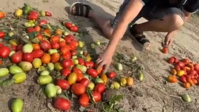 Мега Томат смотреть онлайн