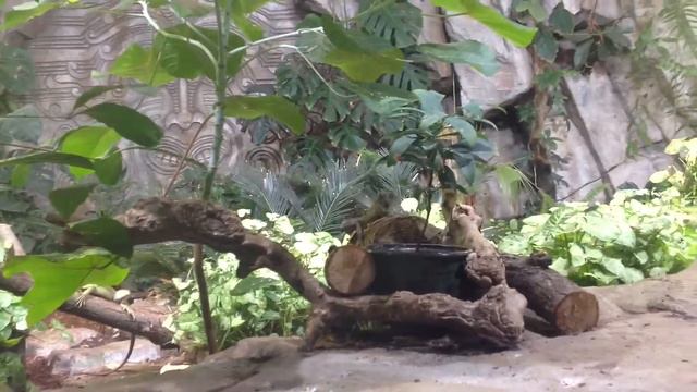 Есть чувство ритма смотреть онлайн