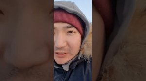 Якутские лошади - уникальная порода, которой не страшен мороз😱❄️🧊🐎