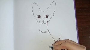 Как нарисовать кота ручкой.