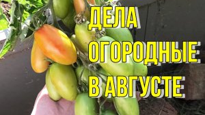 Не понравился, значит под  лопату!!! Конец августа и работать надоело...