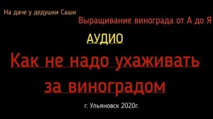 Аудио. Как не надо ухаживать за виноградом