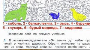 Страница 42 Рабочая тетрадь по окружающему миру за 4 класс 1 часть Плешаков Школа России