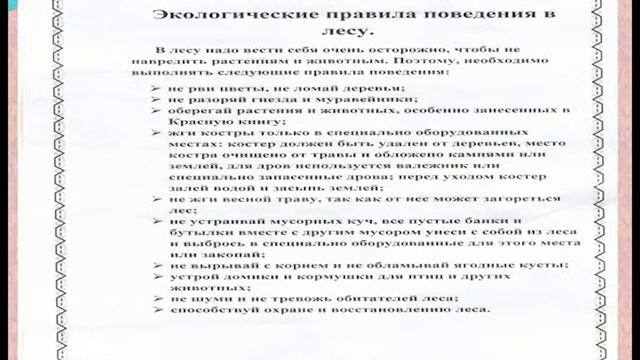 презентация Цороевой после мероприятия 1 смотреть онлайн