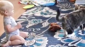 ПРИКОЛЫ _ СМЕШНЫЕ КОШКИ И ДЕТИ _ Приколы про милых котов, детей.