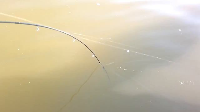 РЫБАЛКА НА ВОЛГЕ, ЛОВИМ В ДЕЛЬТЕ ВОЛГИ СОМА смотреть онлайн