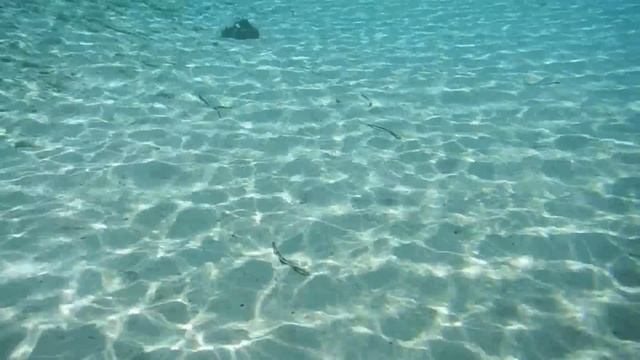 Underwater movie by Fujifilm FinePix XP200 in Karystos смотреть онлайн