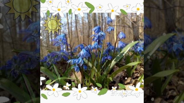 Ознайомлення з природою + зображувальна діяльність: "Перші квіточки весняні" (старший вік) смотреть онлайн