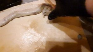 Тесто масляное слоёное за 10 минут.