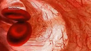 Баня. Польза бани и как правильно париться.