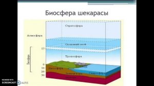 Биосфера және оның құрамдас бөліктері