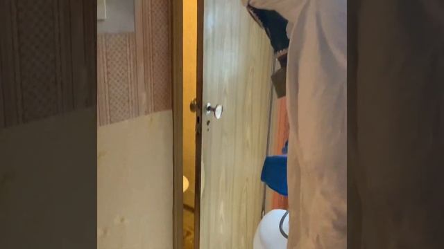 А вы знали как проходит обработка квартиры от тараканов генератором холодного тумана смотреть онлайн