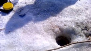 Ханты-Мансийск. Весенняя-зимняя рыбалка на против мамонтов. 25.03.16