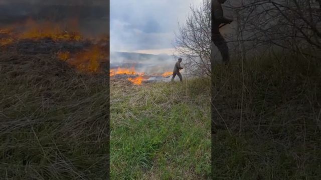 Вот кто поджог лес в Чернобыле и Житомере.