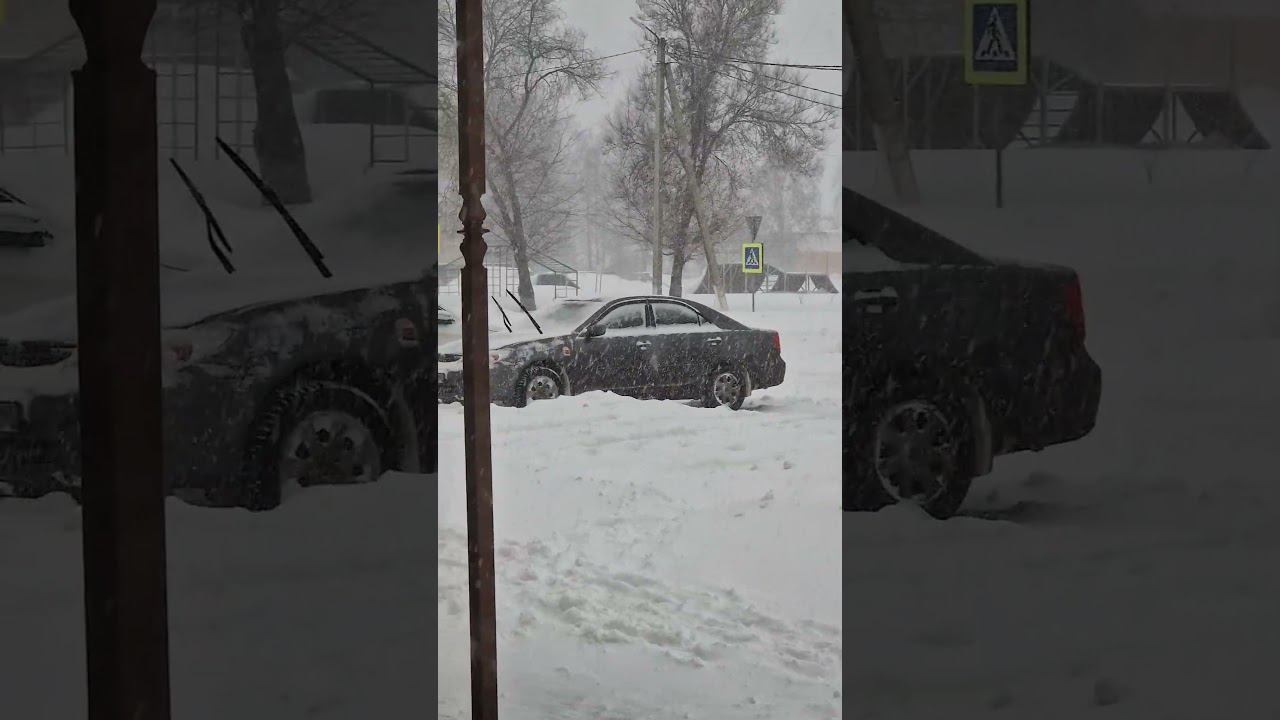 15.12.23г. Вид из окна моей работы . Shorts
