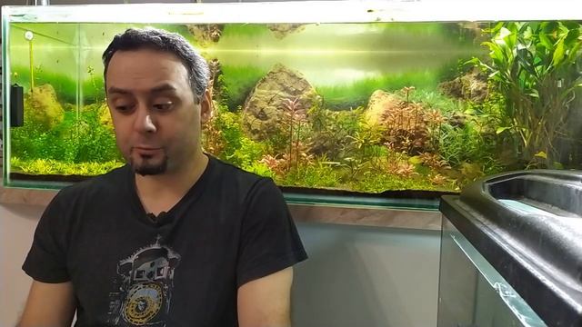 Про силикаты в воде и водоросли смотреть онлайн