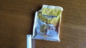 Бегония элатиор! Черенкование - 100% укоренение.