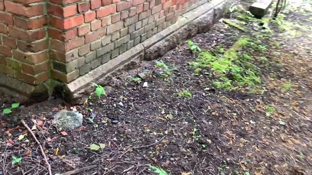 Дача Нобиля смотреть онлайн