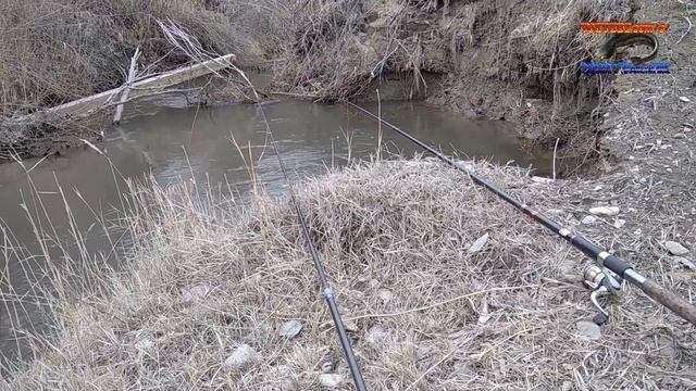 Осман весной. Проверка своих клевых мест 26.03.22 смотреть онлайн