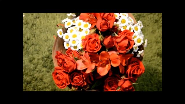 Красивый тест объектива Nikon 18-105 mm смотреть онлайн