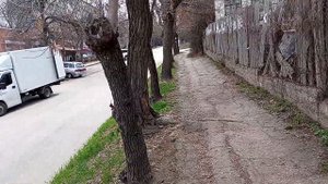 Кисловодск изнутри! Улица Губина. 28.03.2023 г.