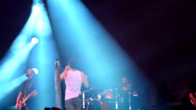 лукава кішка смотреть онлайн