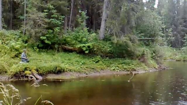 Полта