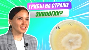 «Ну-ка, наука!» | Надежда Исламова о микроскопических грибах-помощниках