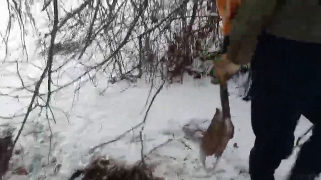 Лучший коп в этом сезоне, от таких находок глаза на лоб лезут. смотреть онлайн