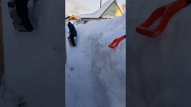 113 км дача смотреть онлайн