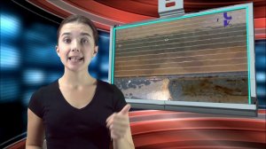 Обзор: Универсальный очиститель для барбекю, мангалов Goodhim готовый раствор