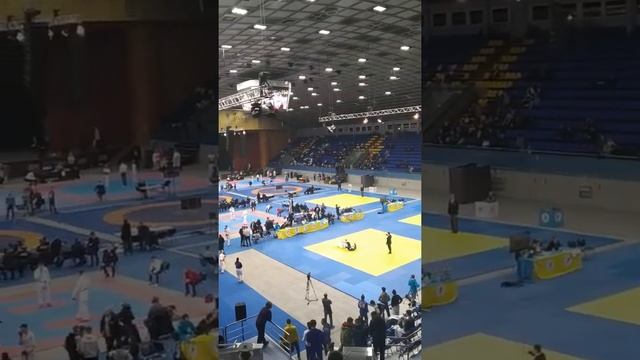 Услуги грузчиков в Киеве от компании "Master-Pro" смотреть онлайн