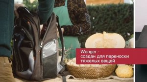 Wenger Pegasus 600639 вес