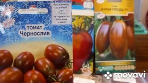 Обзор семян на 2022 год.Пузата хата.? Батяня.