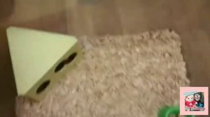 ?Клетка (дом) для хомяка из контейнера