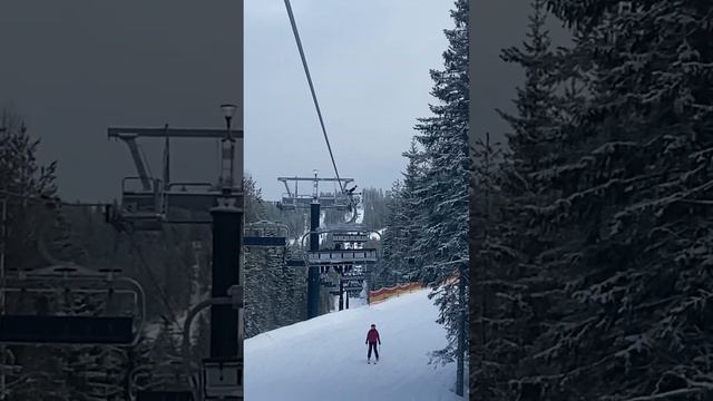 Горные лыжи ⛷️ зима, Швеция