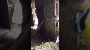 Штукатурка по соломе 30 июня 2019 г.