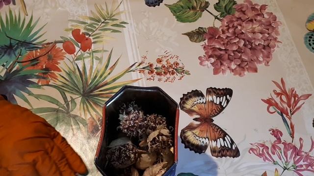 А вы приготовили семена чеснока? смотреть онлайн