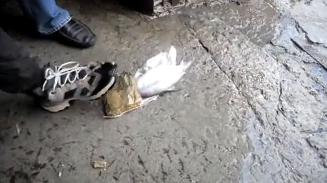 Как чистят рыбу Челябинские мужики. Прикол смотреть онлайн