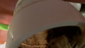 Забился унитаз « Сукаааа»